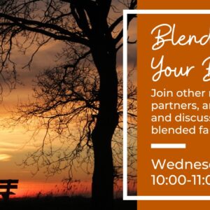 Blended: Navigating Your Bonus Family Wednesday 10:00-11:00am CDT